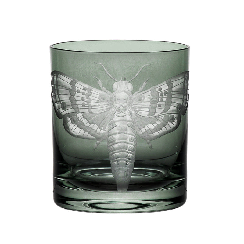 Cabinet of Curiosities Butterfly