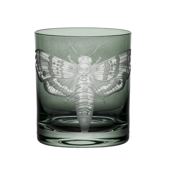 Cabinet of Curiosities Butterfly