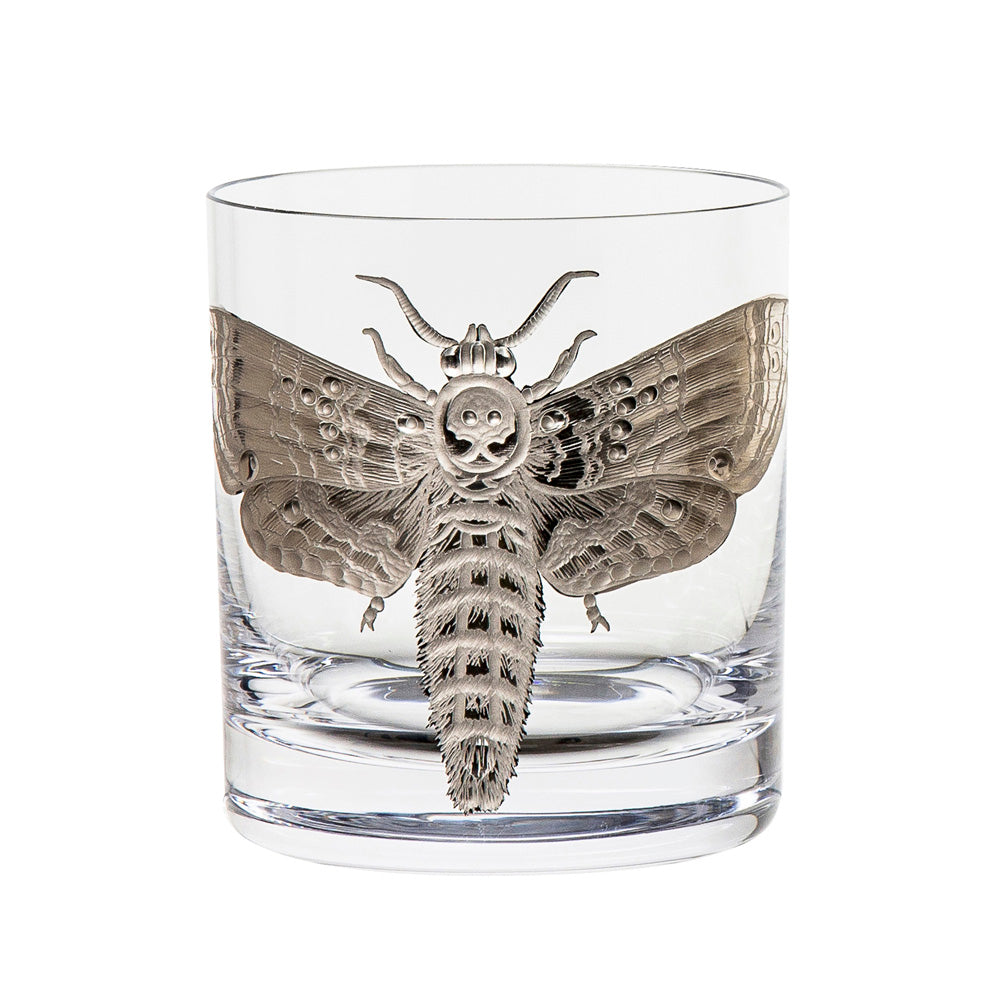 Cabinet of Curiosities Butterfly