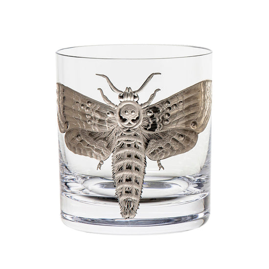 Cabinet of Curiosities Butterfly