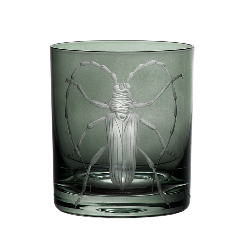 Cabinet of Curiosities Beetle