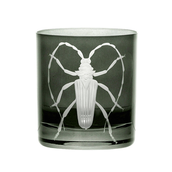 Cabinet of Curiosities Beetle