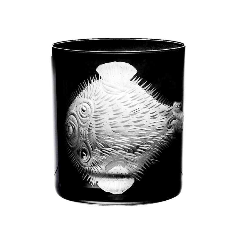 Cabinet of Curiosities Blowfish