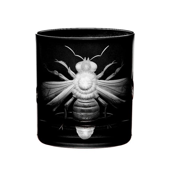 Cabinet of Curiosities Imperial Bee