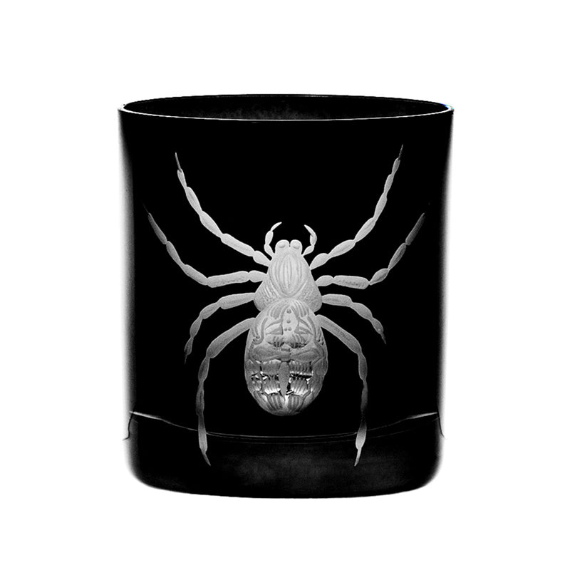 Cabinet of Curiosities Spider