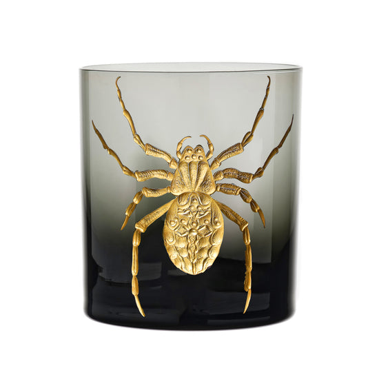 Cabinet of Curiosities Spider