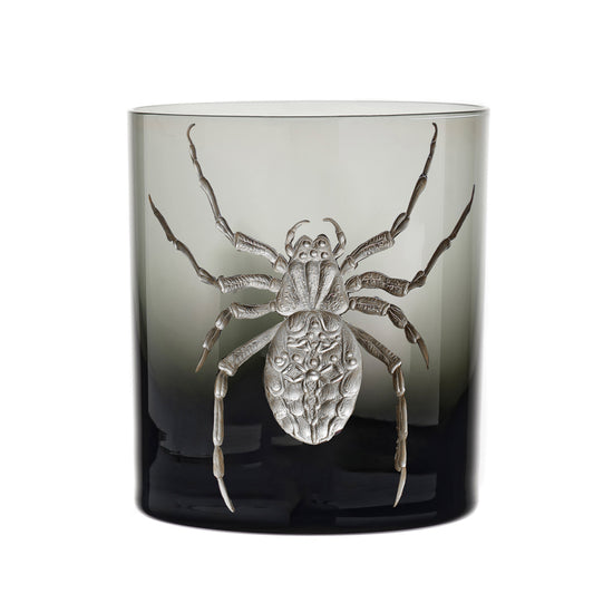 Cabinet of Curiosities Spider