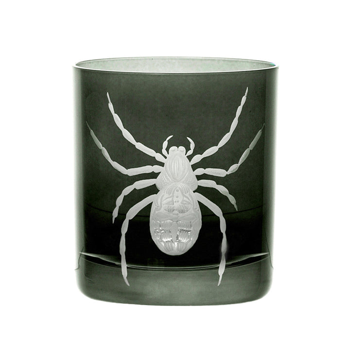 Cabinet of Curiosities Spider