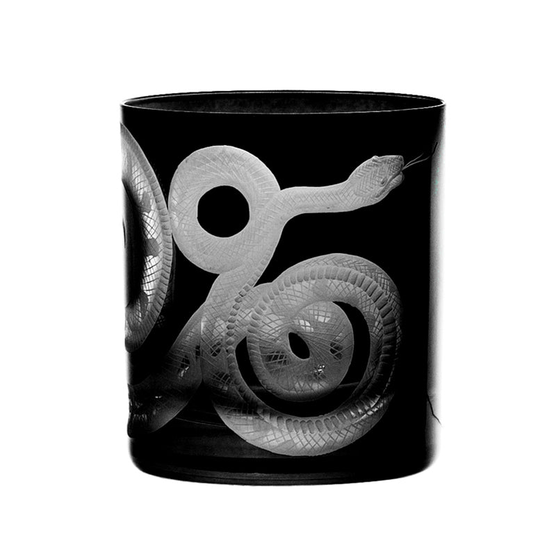 Cabinet of Curiosities Snake