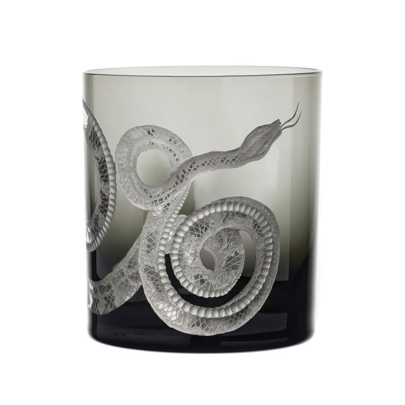 Cabinet of Curiosities Snake