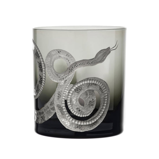 Cabinet of Curiosities Snake