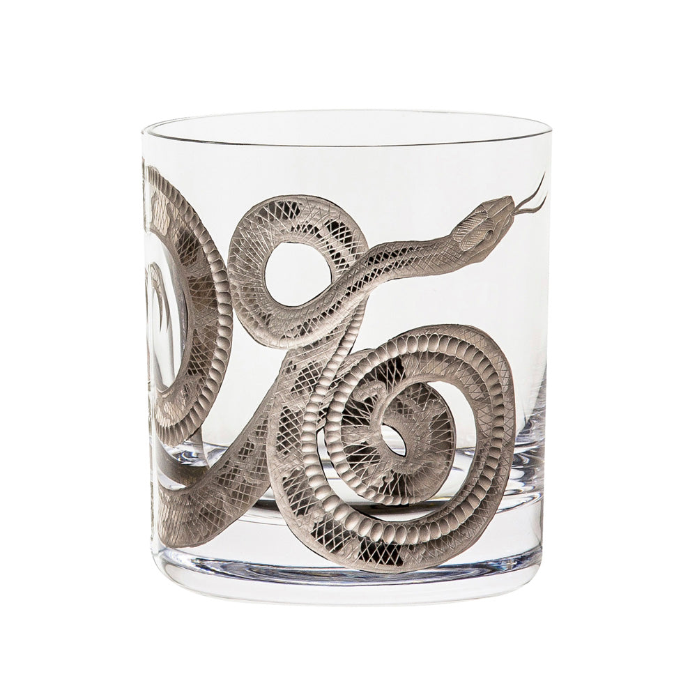 Cabinet of Curiosities Snake