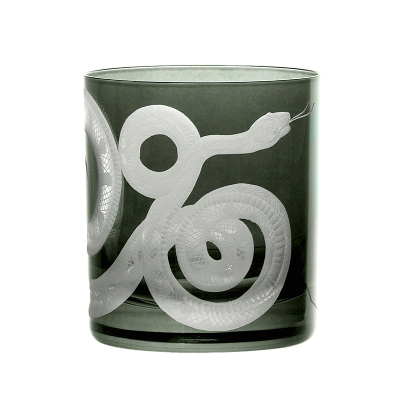 Cabinet of Curiosities Snake