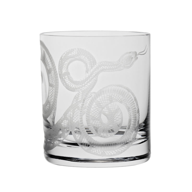 Cabinet of Curiosities Snake