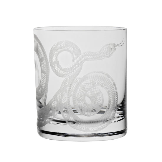 Cabinet of Curiosities Snake