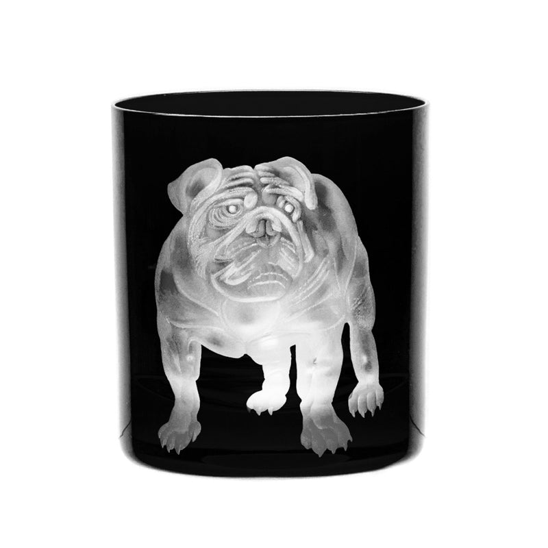 Dog Bull Dog