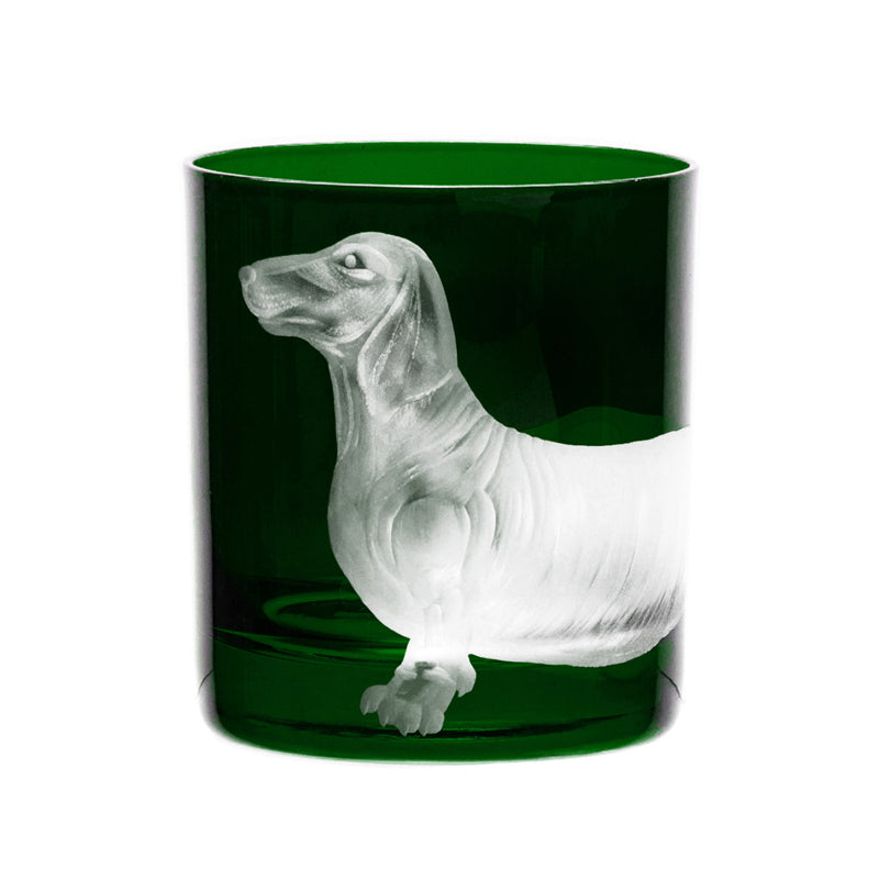 Dog Dachshund