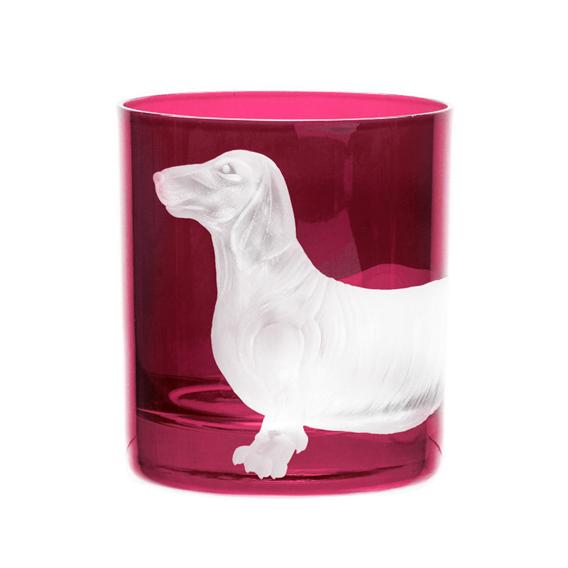 Dog Dachshund