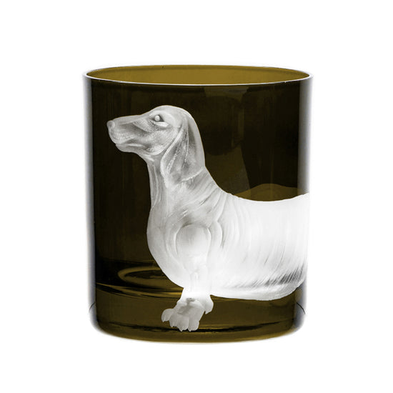 Dog Dachshund