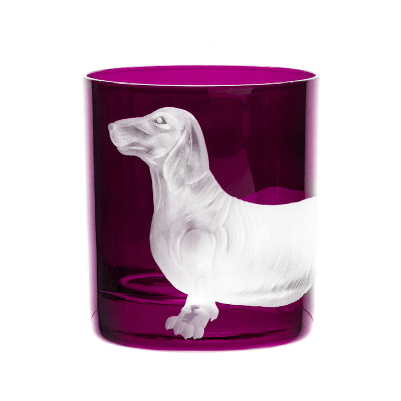 Dog Dachshund