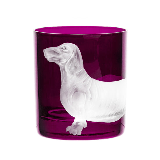 Dog Dachshund