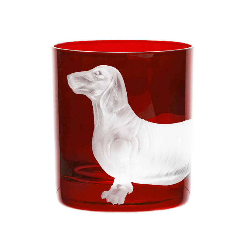 Dog Dachshund