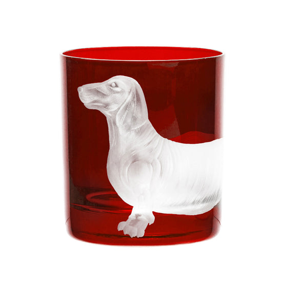 Dog Dachshund
