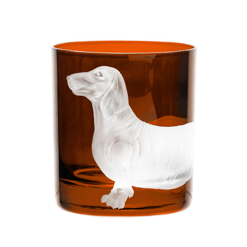 Dog Dachshund