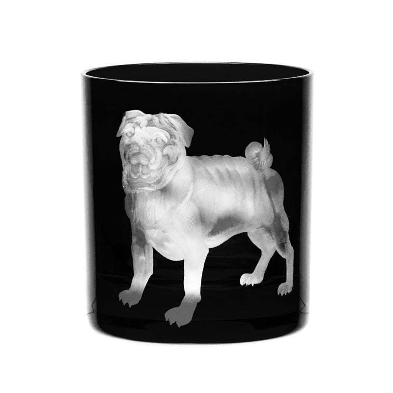 Dog Pug