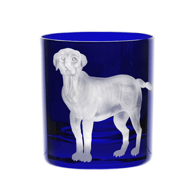 Dog Labrador