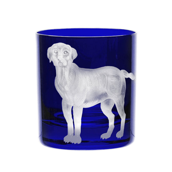 Dog Labrador