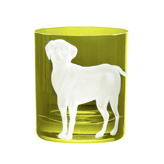 Dog Labrador