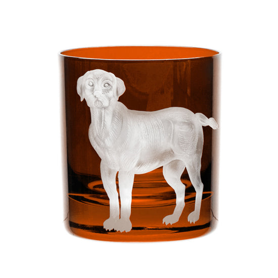 Dog Labrador