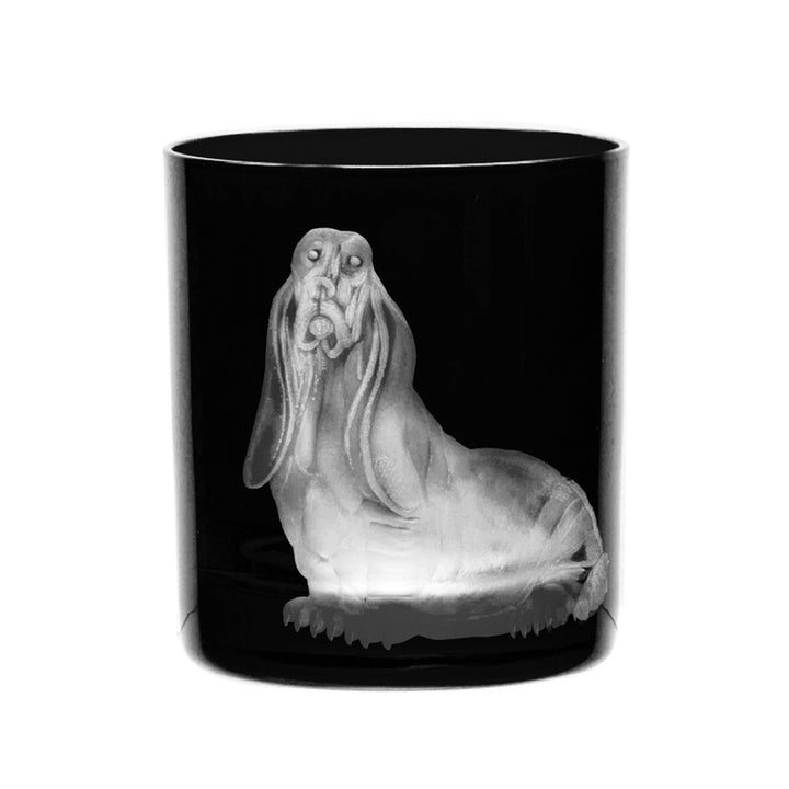 Dog Basset Hound