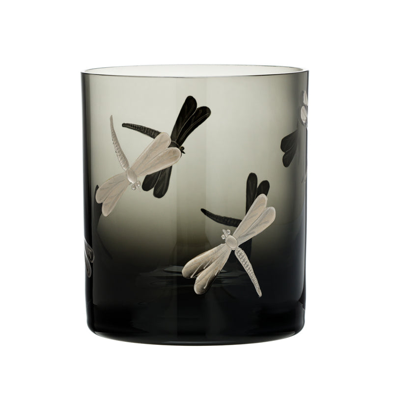 Fly Fusion Dragonfly