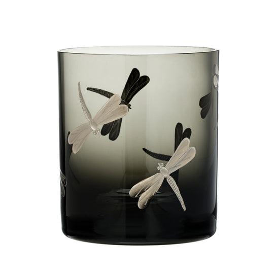 Fly Fusion Dragonfly