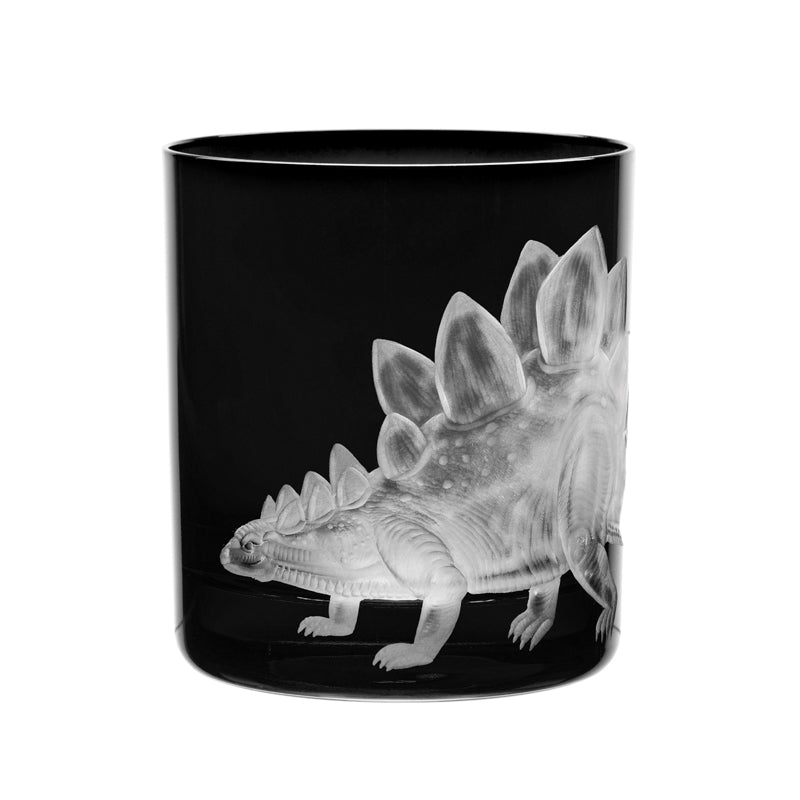 Dinosaur Collection 1 Stegosaurus