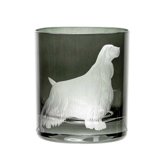 Best Of Breed Springer Spaniel