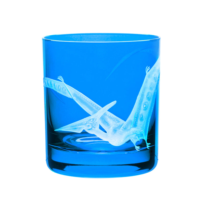 Dinosaur Collection 1 Pterodactyl