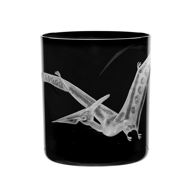 Dinosaur Collection 1 Pterodactyl