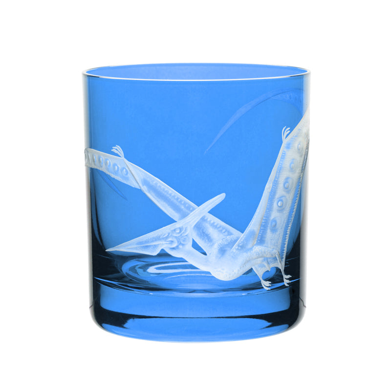 Dinosaur Collection 1 Pterodactyl