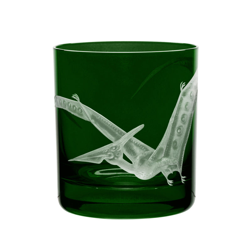 Dinosaur Collection 1 Pterodactyl