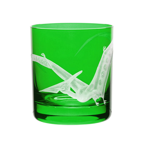 Dinosaur Collection 1 Pterodactyl