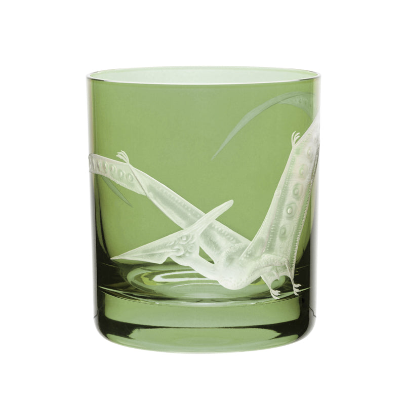 Dinosaur Collection 1 Pterodactyl