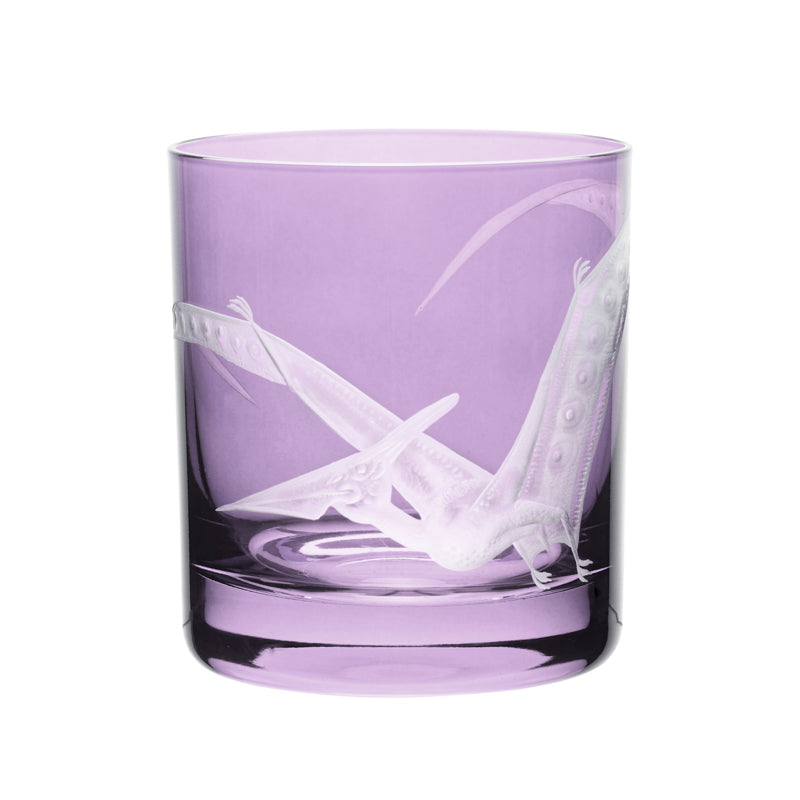 Dinosaur Collection 1 Pterodactyl