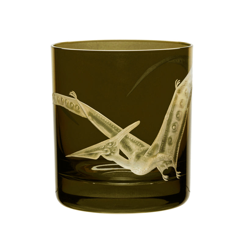 Dinosaur Collection 1 Pterodactyl