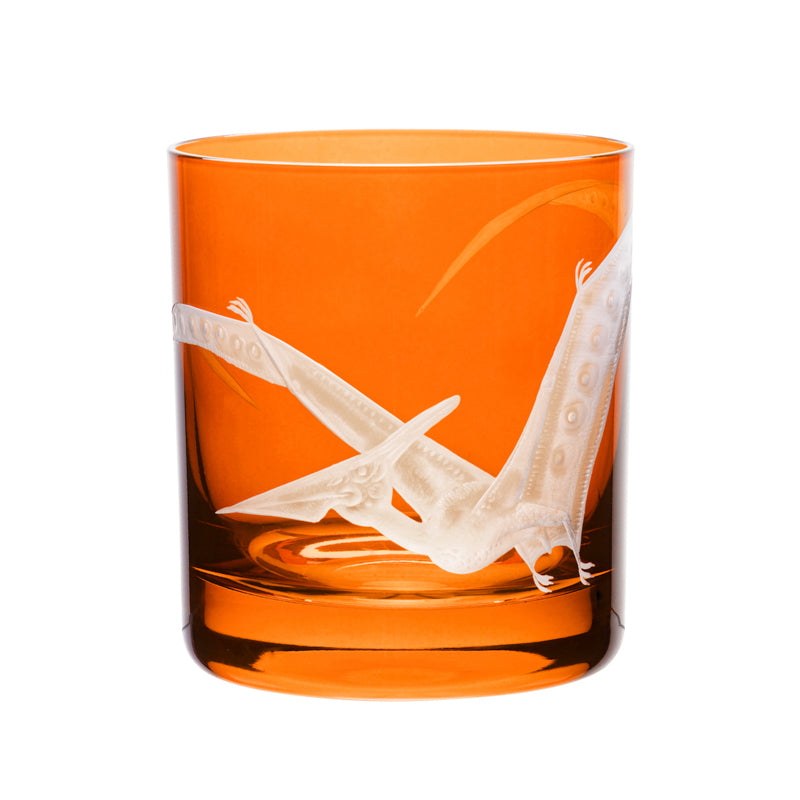 Dinosaur Collection 1 Pterodactyl