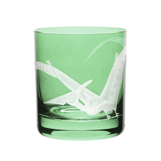 Dinosaur Collection 1 Pterodactyl