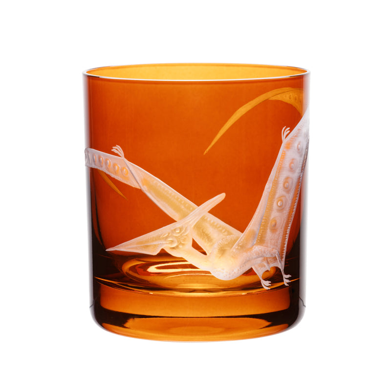 Dinosaur Collection 1 Pterodactyl