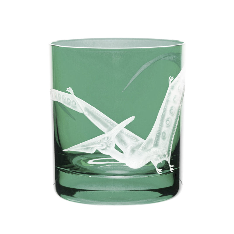 Dinosaur Collection 1 Pterodactyl